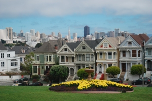 Not the "Painted Ladies" you were expecting?